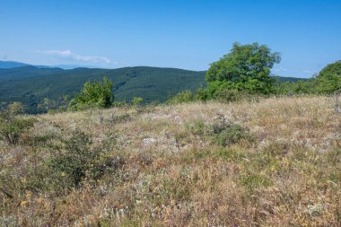 Rudina Dağı, Pernik Bölgesi, Bulgaristan 'ın İnanılmaz Yaz Manzarası