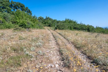 Rudina Dağı, Pernik Bölgesi, Bulgaristan 'ın İnanılmaz Yaz Manzarası