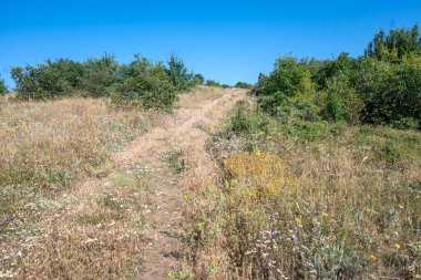 Rudina Dağı, Pernik Bölgesi, Bulgaristan 'ın İnanılmaz Yaz Manzarası