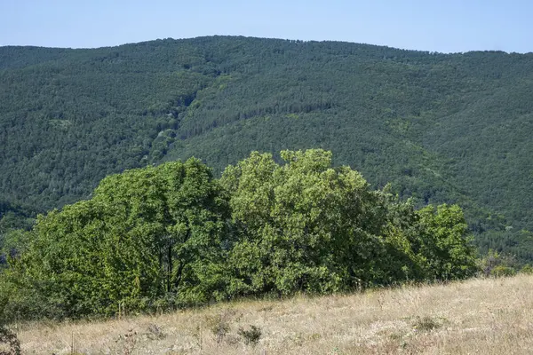 Niesamowity Letni Krajobraz Rudiny Obwód Pernicki Bułgaria — Zdjęcie stockowe