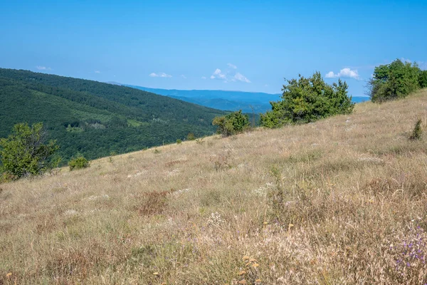 Amazing Summer Landscape Rudina Mountain Pernik Region Bulgarije — Stockfoto