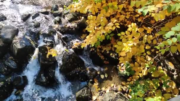 ブルガリアのソフィア市にある南公園の素晴らしい空中秋の景色 — ストック動画