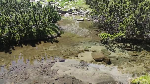 Дивовижний Літній Вид Озера Муратово Гора Пірін Болгарія — стокове відео