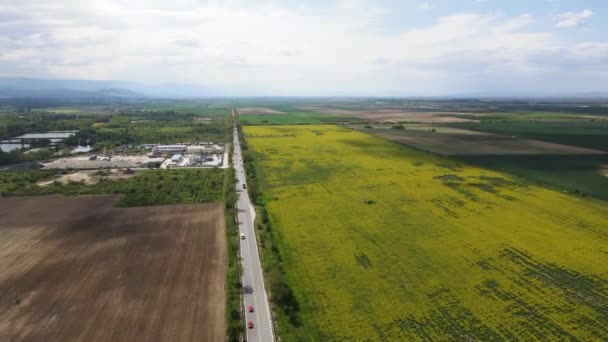 Aerial View Blooming Rapeseed Field Village Kostievo Plovdiv Region Bulgaria — Stock Video