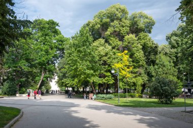 PLOVDIV, BULGARIA - 11 Haziran 2023: Bulgaristan 'ın Filibe kentinin şaşırtıcı Panoramik görünümü