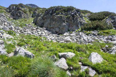 Amazing Summer landscape of Rila Mountain near Malyovitsa peak, Bulgaria