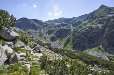 Amazing Summer landscape of Rila Mountain near Malyovitsa peak, Bulgaria