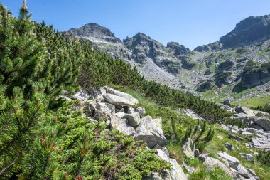 Amazing Summer landscape of Rila Mountain near Malyovitsa peak, Bulgaria