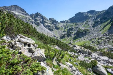 Amazing Summer landscape of Rila Mountain near Malyovitsa peak, Bulgaria