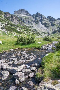 Amazing Summer landscape of Rila Mountain near Malyovitsa peak, Bulgaria