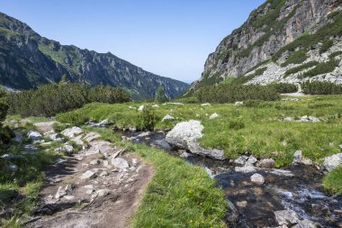 Amazing Summer landscape of Rila Mountain near Malyovitsa peak, Bulgaria