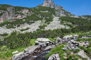 Amazing Summer landscape of Rila Mountain near Malyovitsa peak, Bulgaria