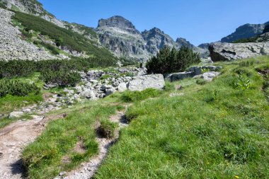 Amazing Summer landscape of Rila Mountain near Malyovitsa peak, Bulgaria