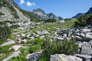 Amazing Summer landscape of Rila Mountain near Malyovitsa peak, Bulgaria