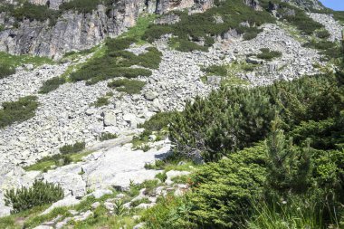 Amazing Summer landscape of Rila Mountain near Malyovitsa peak, Bulgaria