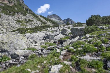 Amazing Summer landscape of Rila Mountain near Malyovitsa peak, Bulgaria