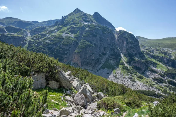 Удивительный Летний Пейзаж Горы Рила Возле Малевица Болгария — стоковое фото