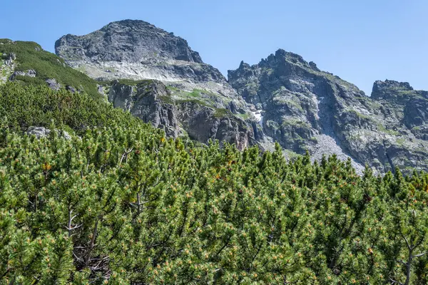 Amazing Summer landscape of Rila Mountain near Malyovitsa peak, Bulgaria