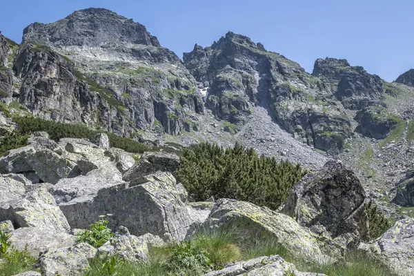 Amazing Summer Landscape Rila Mountain Malyovitsa Peak Bulgaria — 图库照片