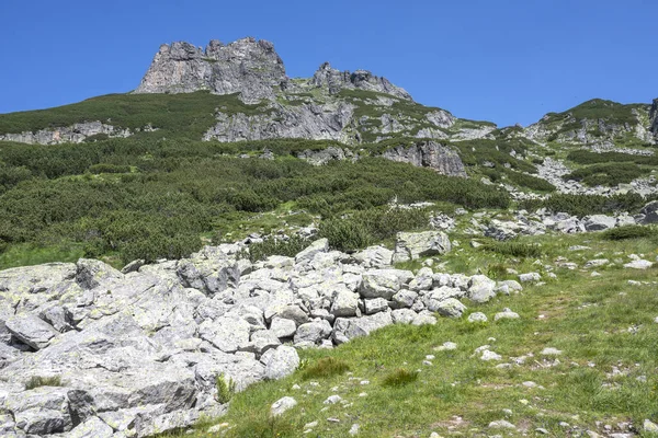 Εκπληκτικό Καλοκαιρινό Τοπίο Του Όρους Ρίλα Κοντά Στην Κορυφή Μαλγιοβίτσα — Φωτογραφία Αρχείου