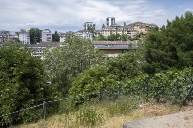 Eski şehir Lozan 'ın Panoraması, Vaud Kantonu, İsviçre