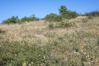 Rudina Dağı, Pernik Bölgesi, Bulgaristan 'ın İnanılmaz Yaz Manzarası