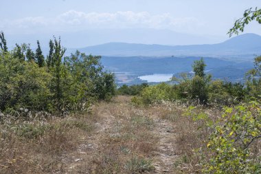 Rudina Dağı, Pernik Bölgesi, Bulgaristan 'ın İnanılmaz Yaz Manzarası