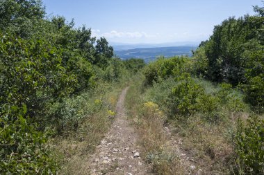 Rudina Dağı, Pernik Bölgesi, Bulgaristan 'ın İnanılmaz Yaz Manzarası