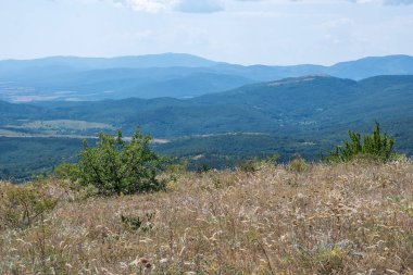 Rudina Dağı, Pernik Bölgesi, Bulgaristan 'ın İnanılmaz Yaz Manzarası