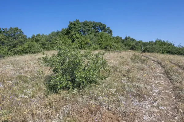 Rudina Dağı, Pernik Bölgesi, Bulgaristan 'ın İnanılmaz Yaz Manzarası