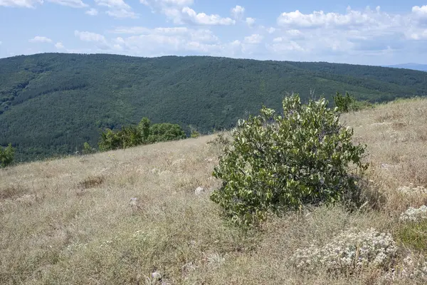 stock image Amazing Summer Landscape of Rudina mountain, Pernik Region, Bulgaria