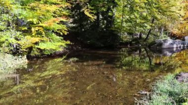 Bulgaristan 'ın Vitosha Dağı' nın şaşırtıcı sonbahar manzarası