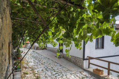 19. yüzyıldan kalma otantik evleri olan Delchevo köyü, Blagoevgrad bölgesi, Bulgaristan