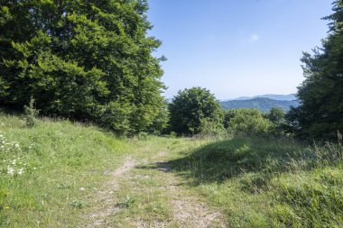 Bulgaristan 'ın Pernik Bölgesi, Kamenititsa zirvesi yakınlarındaki Erul dağının yaz manzarası