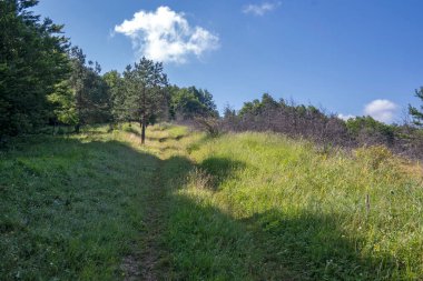 Bulgaristan 'ın Pernik Bölgesi, Kamenititsa zirvesi yakınlarındaki Erul dağının yaz manzarası