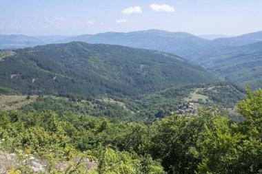 Bulgaristan 'ın Pernik Bölgesi, Kamenititsa zirvesi yakınlarındaki Erul dağının yaz manzarası