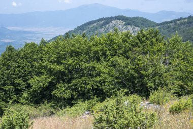 Bulgaristan 'ın Pernik Bölgesi, Kamenititsa zirvesi yakınlarındaki Erul dağının yaz manzarası