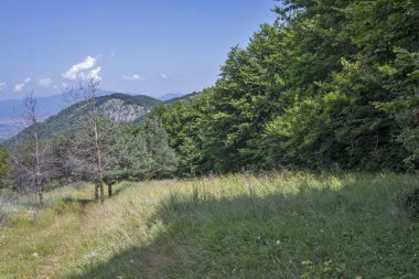 Bulgaristan 'ın Pernik Bölgesi, Kamenititsa zirvesi yakınlarındaki Erul dağının yaz manzarası