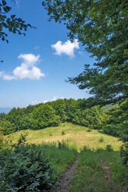 Bulgaristan 'ın Pernik Bölgesi, Kamenititsa zirvesi yakınlarındaki Erul dağının yaz manzarası