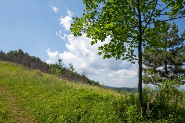 Bulgaristan 'ın Pernik Bölgesi, Kamenititsa zirvesi yakınlarındaki Erul dağının yaz manzarası