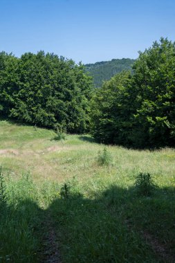 Bulgaristan 'ın Pernik Bölgesi, Kamenititsa zirvesi yakınlarındaki Erul dağının yaz manzarası