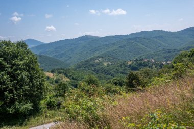 Bulgaristan 'ın Pernik Bölgesi, Kamenititsa zirvesi yakınlarındaki Erul dağının yaz manzarası