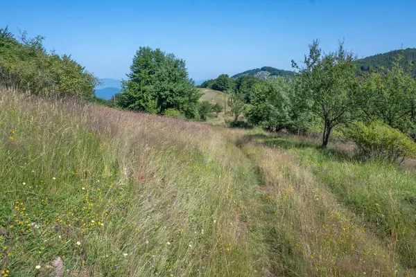 Summer Landscape Erul Mountain Kamenititsa Peak Pernik Region Bulgária — Fotografia de Stock