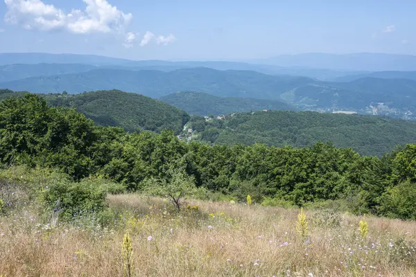 Bulgaristan 'ın Pernik Bölgesi, Kamenititsa zirvesi yakınlarındaki Erul dağının yaz manzarası