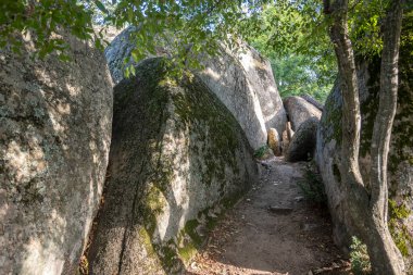 Bulgaristan 'ın Burgaz bölgesinin Primorsko kenti yakınlarındaki Antik Sığınak manzarası başladı