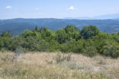 Rudina Dağı, Pernik Bölgesi, Bulgaristan 'ın İnanılmaz Yaz Manzarası