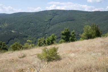 Rudina Dağı, Pernik Bölgesi, Bulgaristan 'ın İnanılmaz Yaz Manzarası
