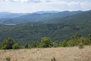 Rudina Dağı, Pernik Bölgesi, Bulgaristan 'ın İnanılmaz Yaz Manzarası