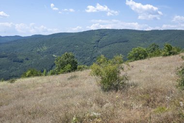 Rudina Dağı, Pernik Bölgesi, Bulgaristan 'ın İnanılmaz Yaz Manzarası