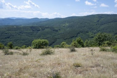 Rudina Dağı, Pernik Bölgesi, Bulgaristan 'ın İnanılmaz Yaz Manzarası